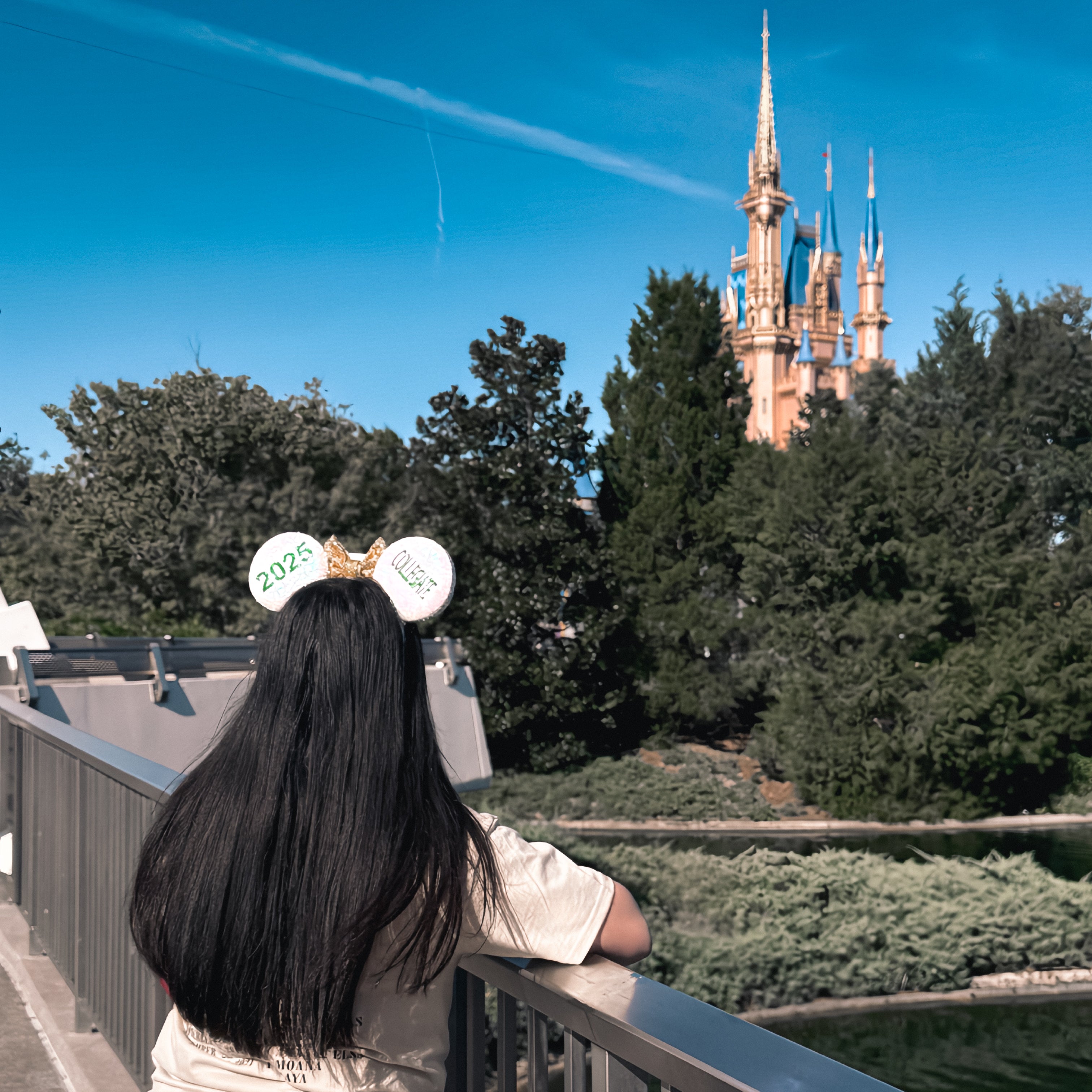 Pageant Sash Mouse Ears